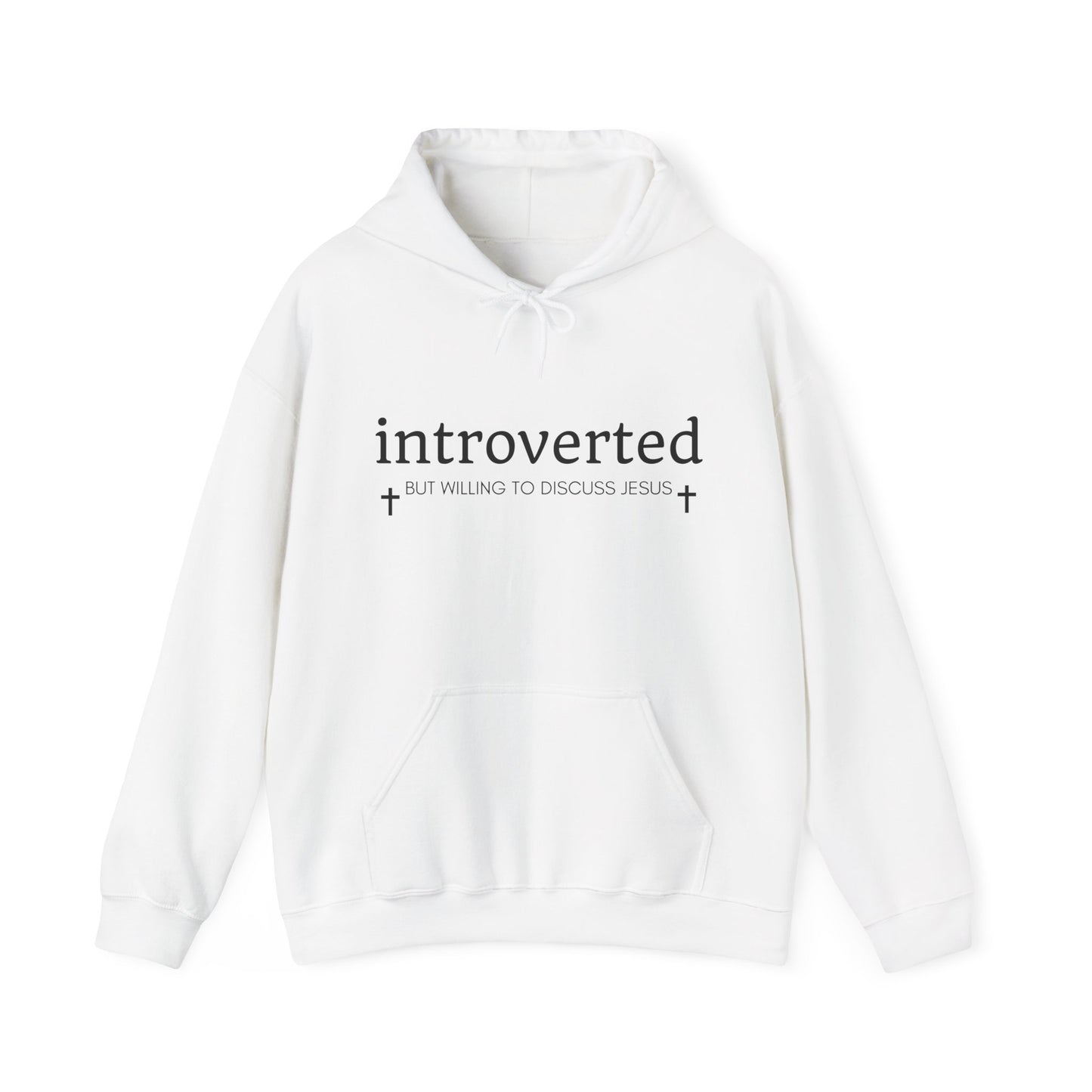 Introverted but Willing to Discuss Jesus Hoodie