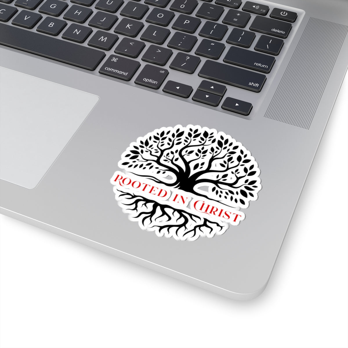 Rooted in Christ Sticker