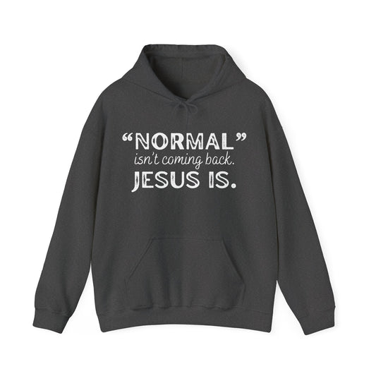 "Normal" Isn't Coming Back. Jesus Is Hoodie