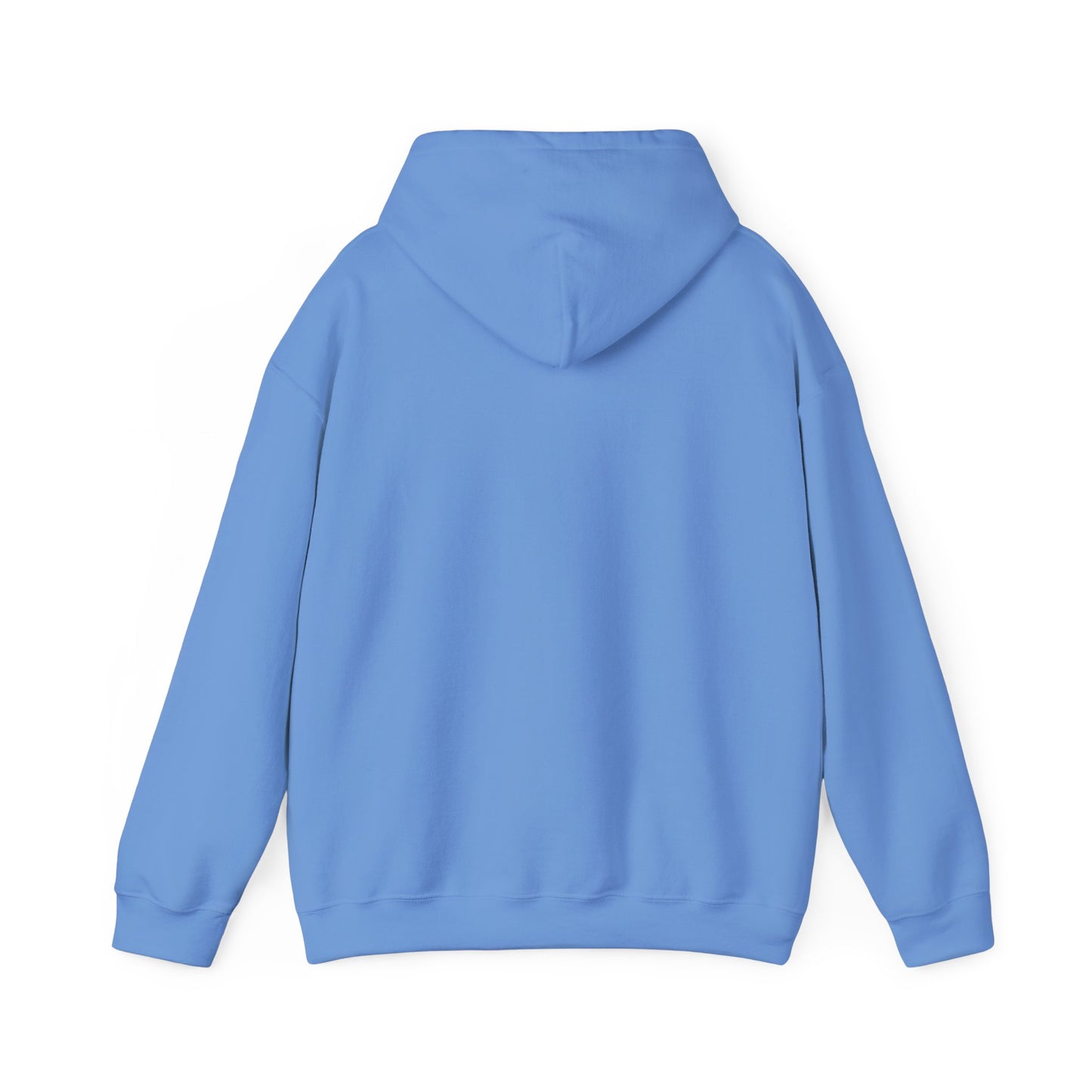 idk, ask Jesus Hoodie