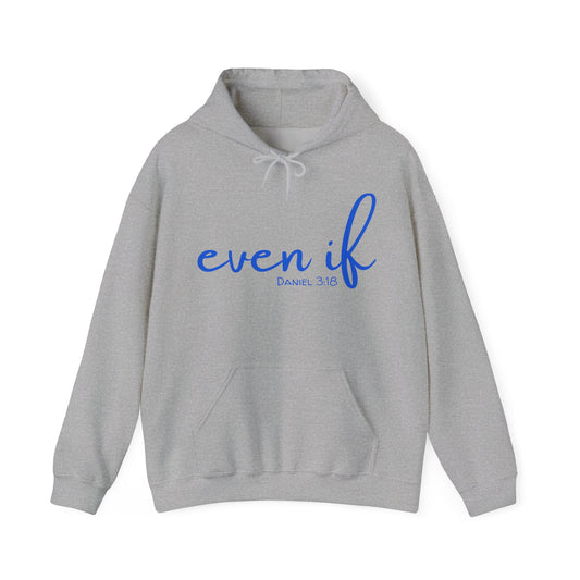 Even If- Daniel 3:18 Hoodie