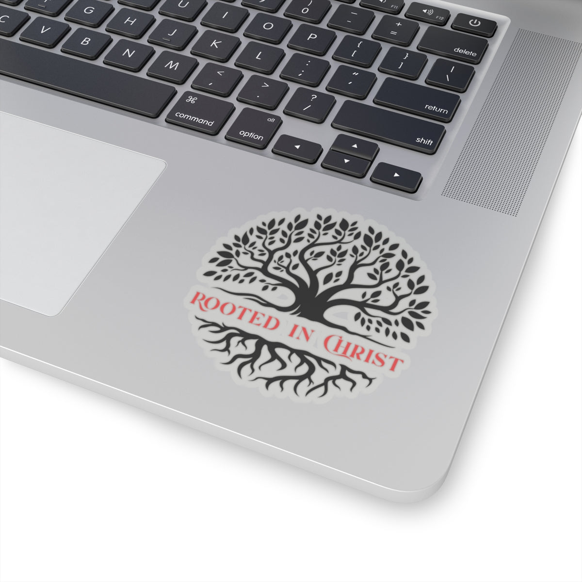 Rooted in Christ Sticker