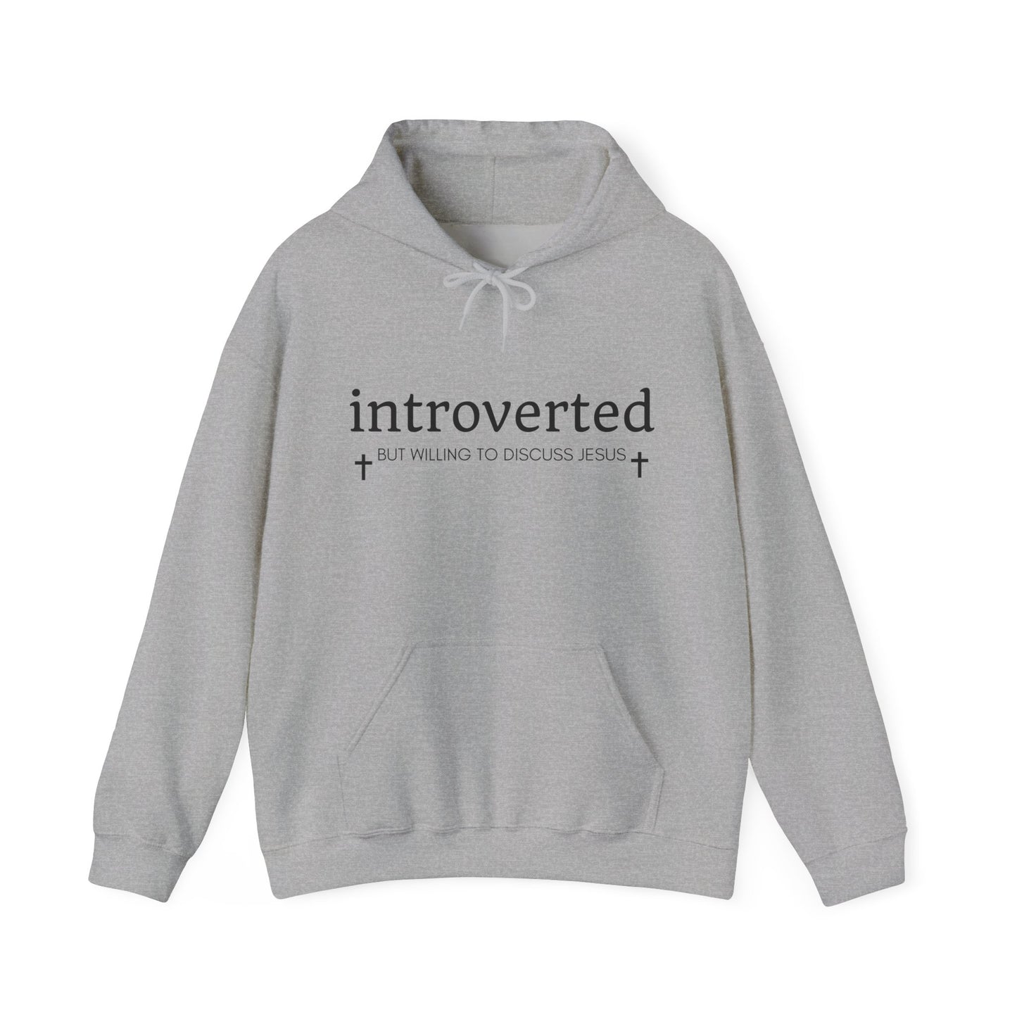 Introverted but Willing to Discuss Jesus Hoodie
