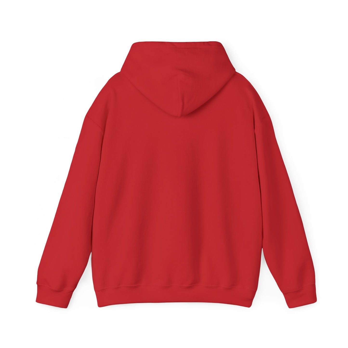 Jehovah, Jireh, Provider Hoodie
