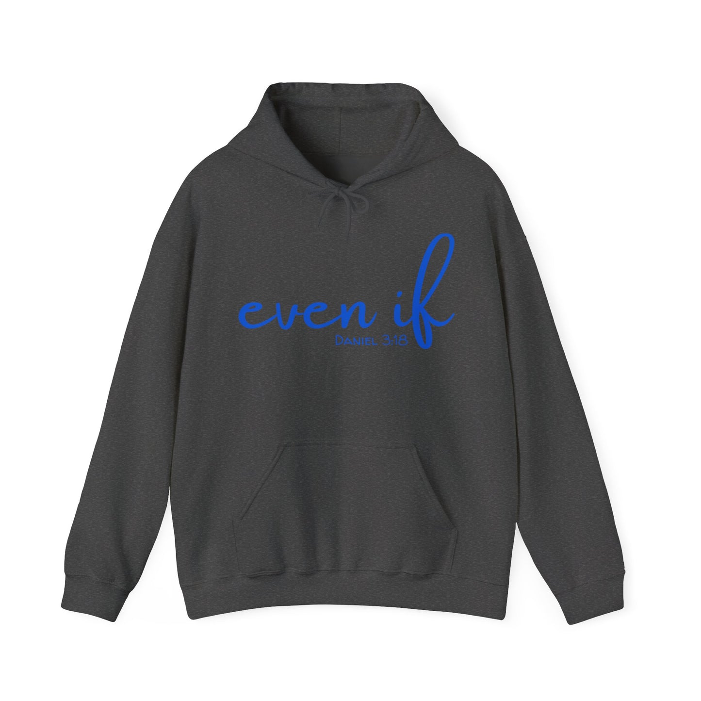 Even If- Daniel 3:18 Hoodie
