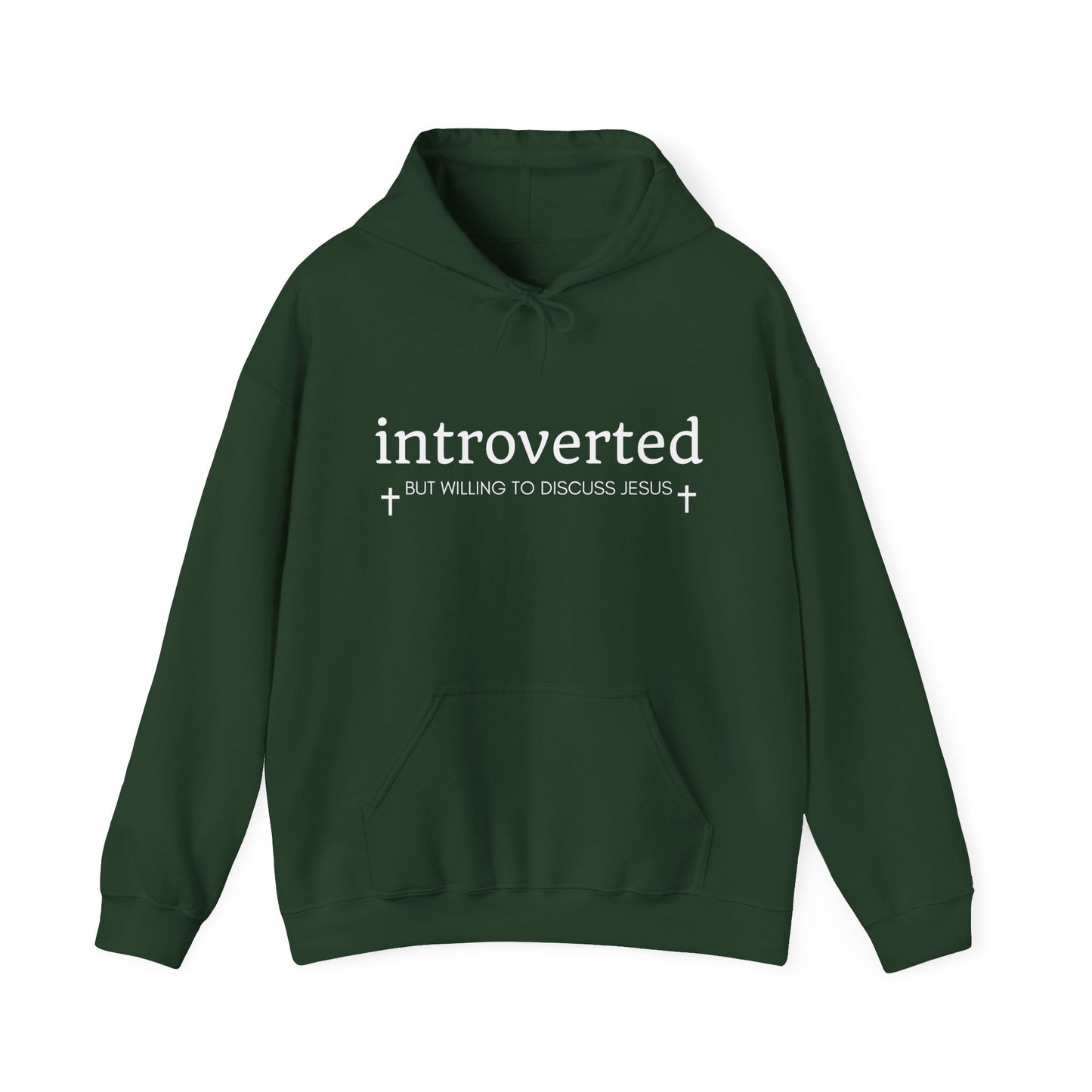 Introverted but Willing to Discuss Jesus Hoodie