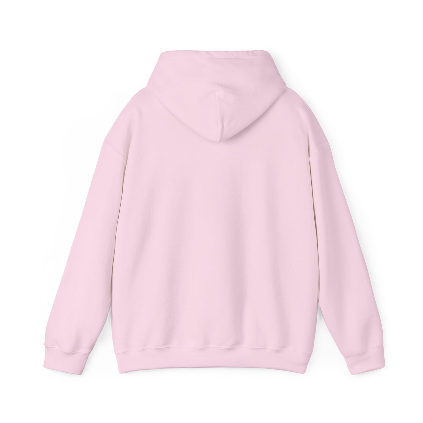 Introverted but Willing to Discuss Jesus Hoodie